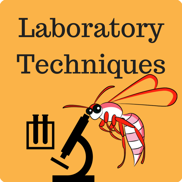 Laboratory Techniques Quiz