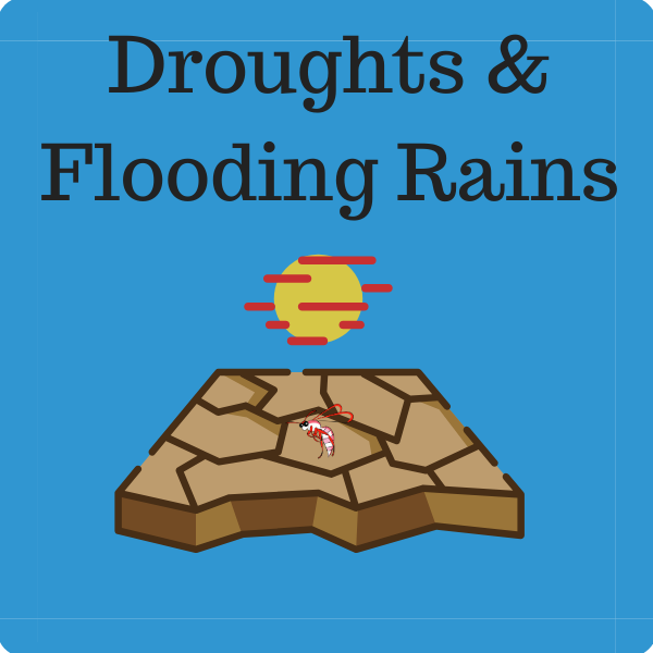 Droughts and Flooding Rains