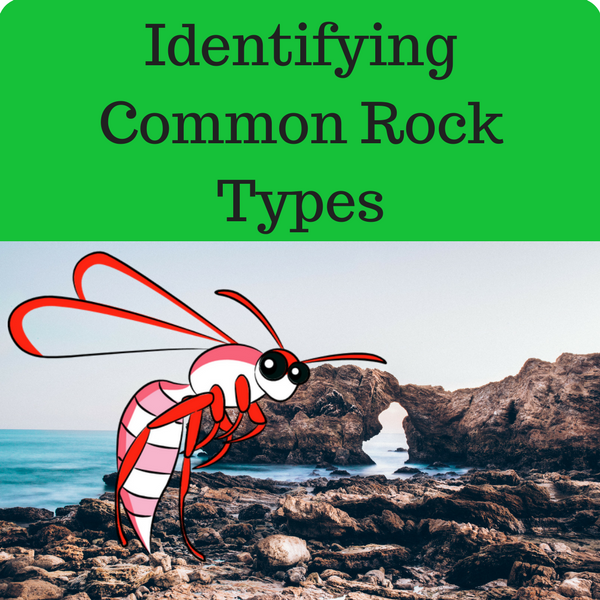 Identifying Common Rock Types Quiz