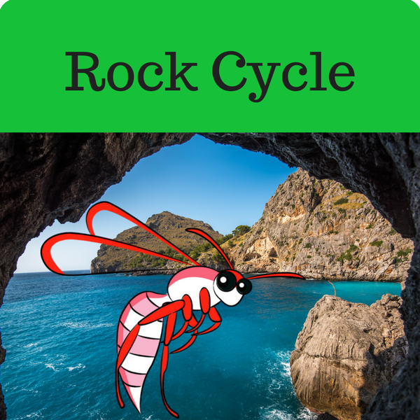 Rock Cycle Quiz