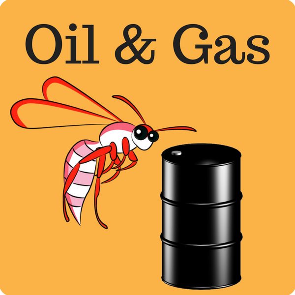 Oil & Gas Quiz