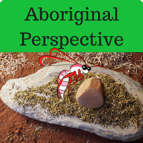 Aboriginal Persperctive