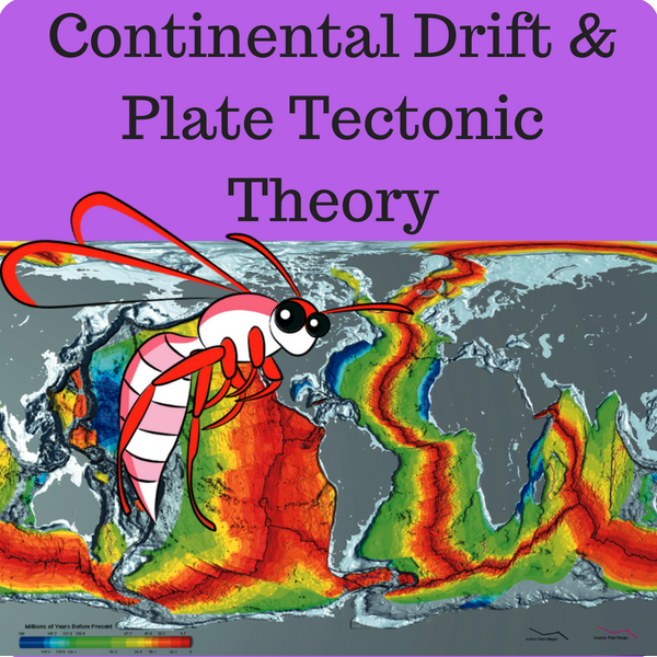 Continental Drift and Plate Tectonic Theory