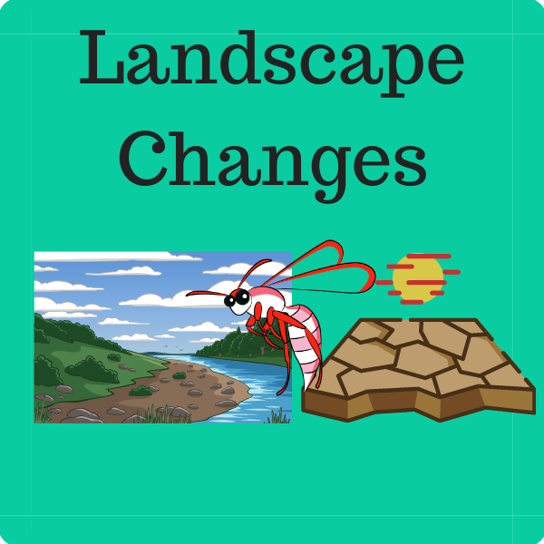 Landscape Changes