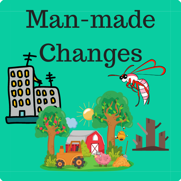 Man Made Changes