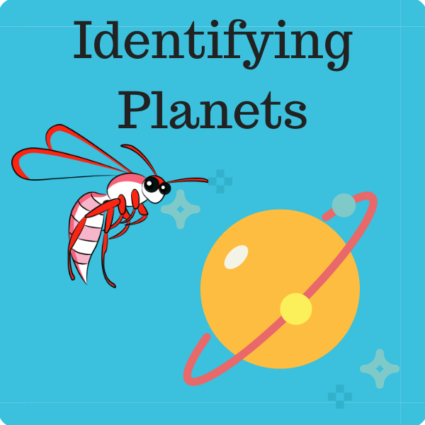 Identifying Planets