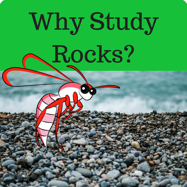 Why Study Rocks Quiz