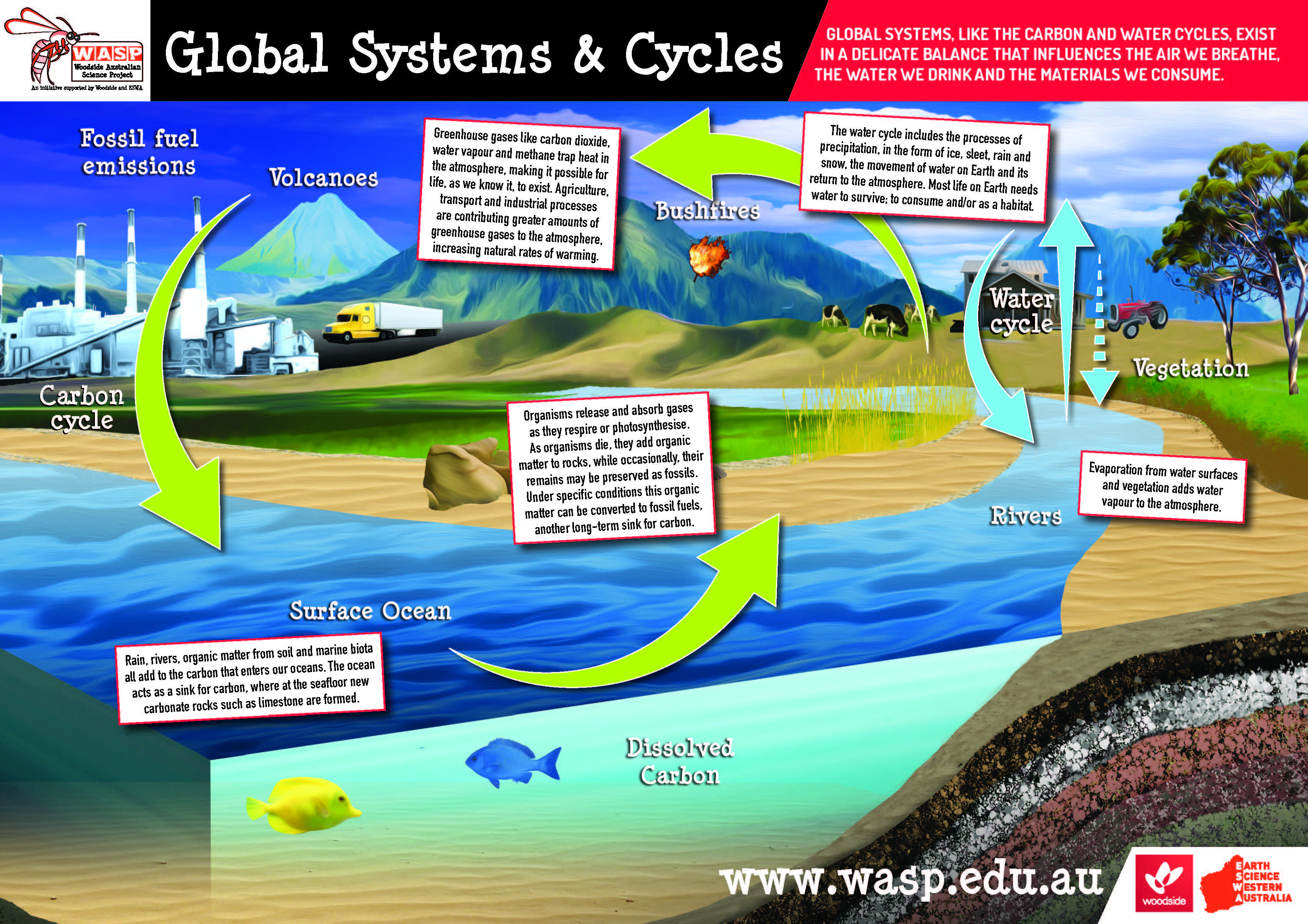 Global Systems and Cycles