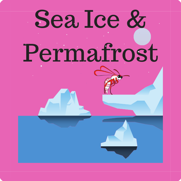 Sea Ice and Permafrost